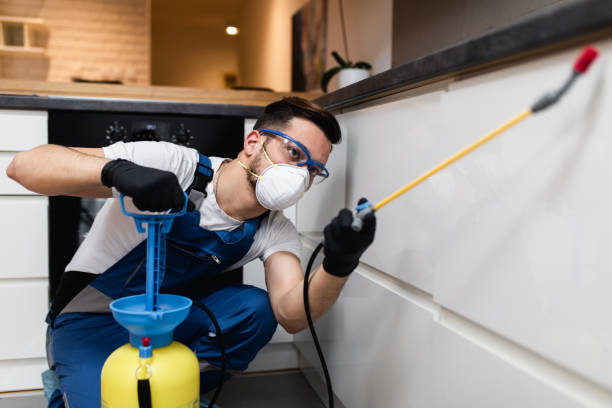 Best Pest Prevention Services  in Ephraim, UT