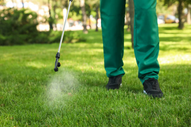 Best Best Pest Control Companies  in Ephraim, UT