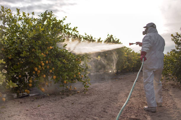 Best Commercial Pest Control Services  in Ephraim, UT