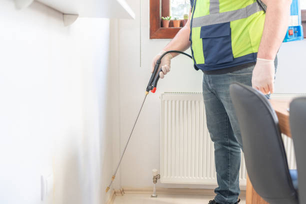Best Ant Control Services  in Ephraim, UT