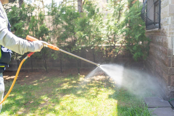 Best Affordable Pest Control Services  in Ephraim, UT