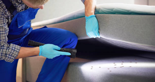 Best Affordable Pest Control Services  in Ephraim, UT