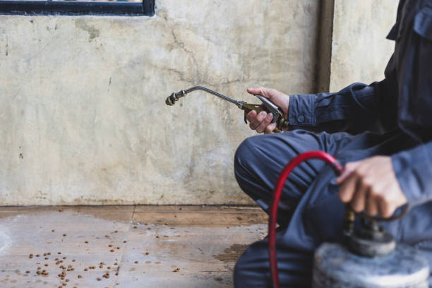 Best Emergency Pest Control  in Ephraim, UT
