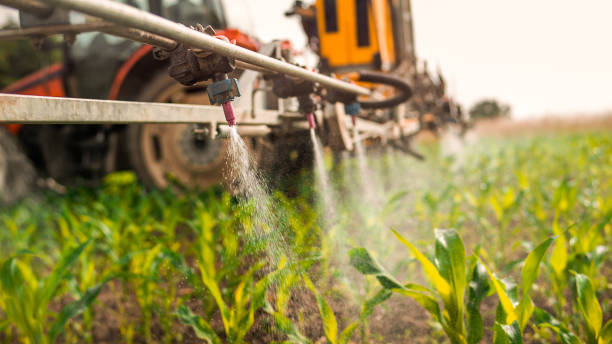 Best Pest Removal Services  in Ephraim, UT